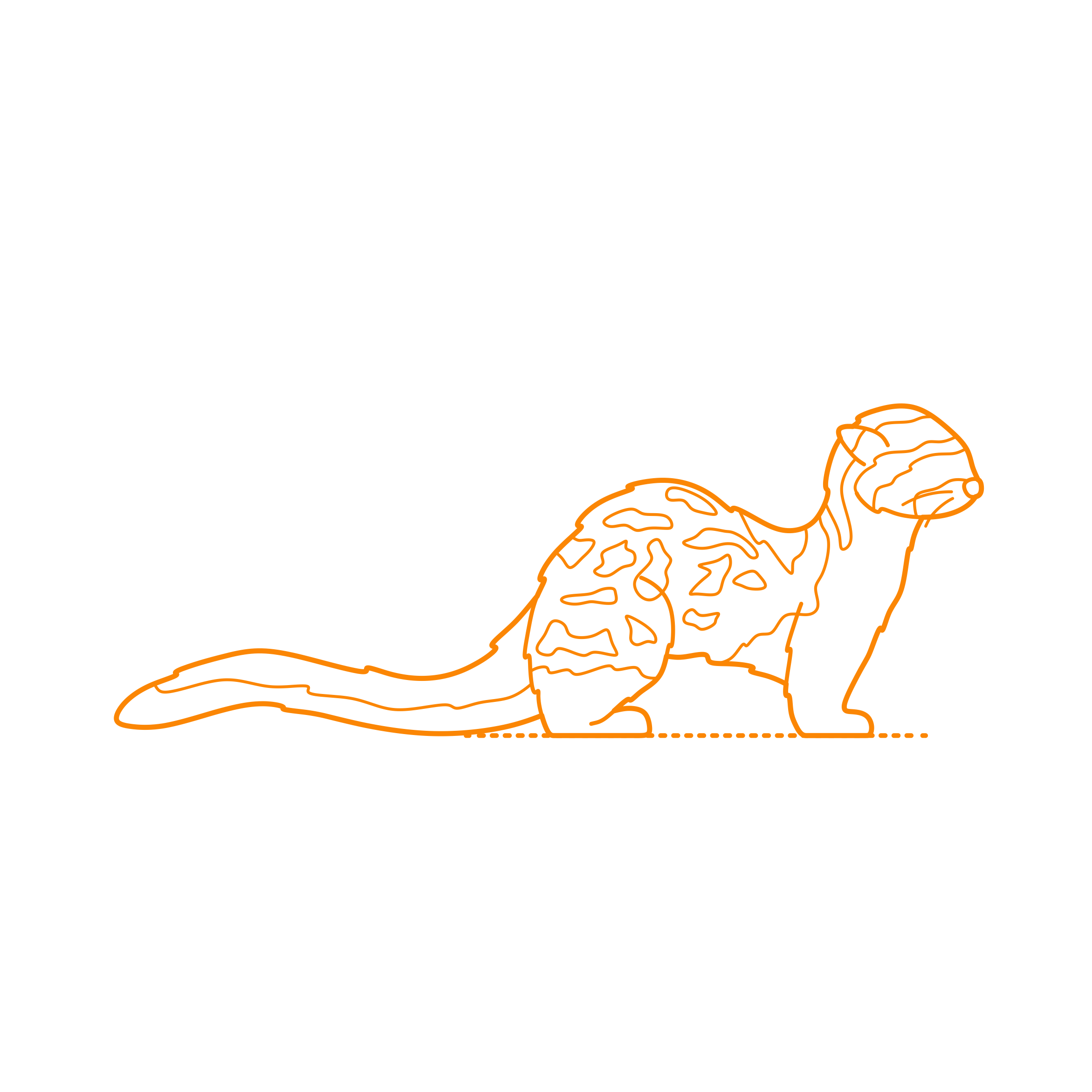 Animals Mustelids Marbled Polecat Outline Svg Vector Free Vectors
